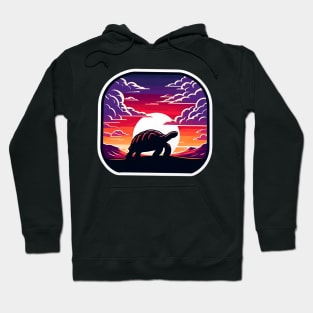 Retro desert Tortoise Hoodie